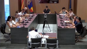 Codi ètic de conducta i bon govern