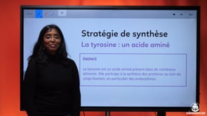 video : strategie-de-synthese-la-tyrosine-un-acide-amine-3689