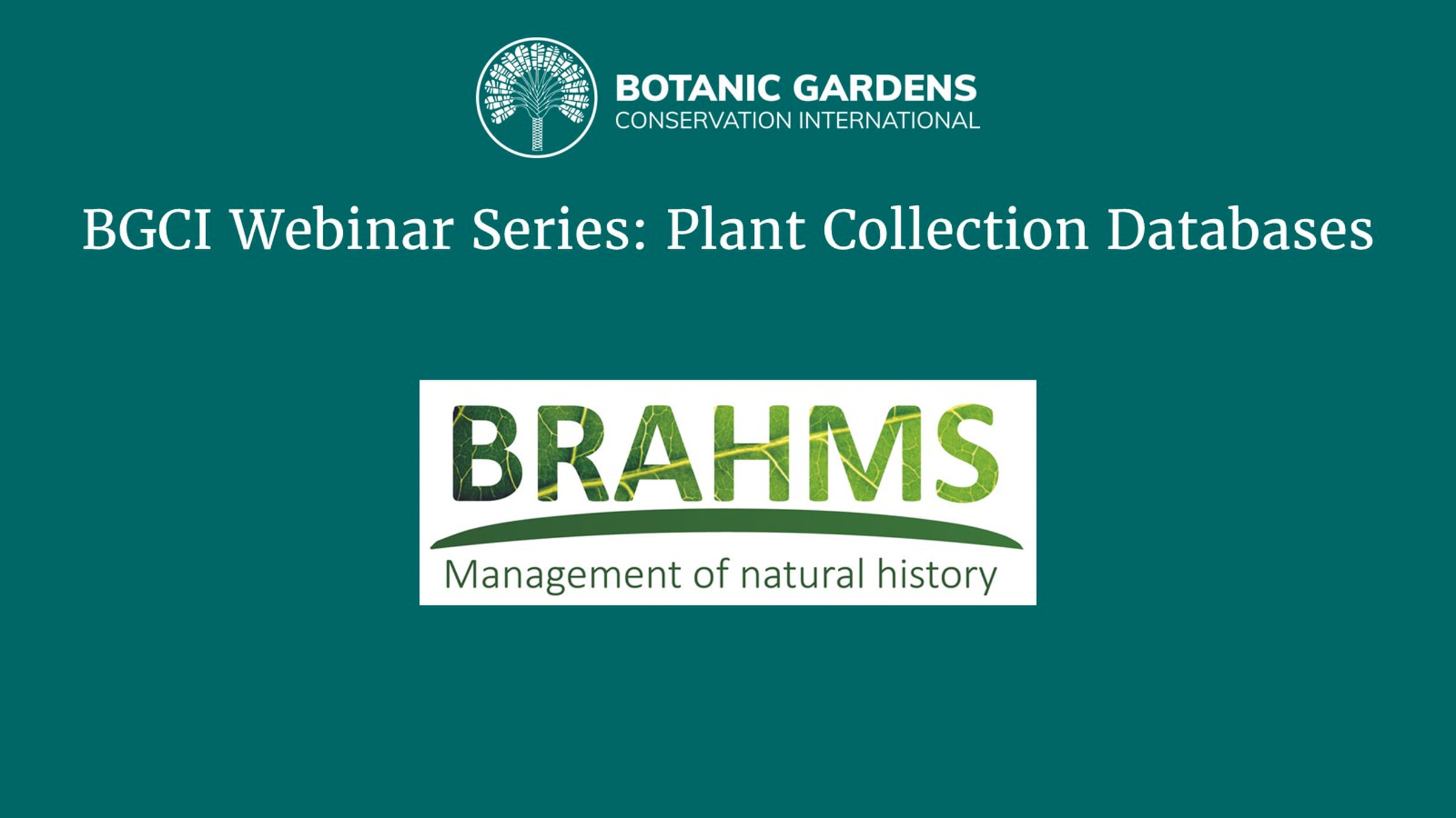 Plant Collection Databases Webinar: BRAHMS | Videos & Movies on Vimeo