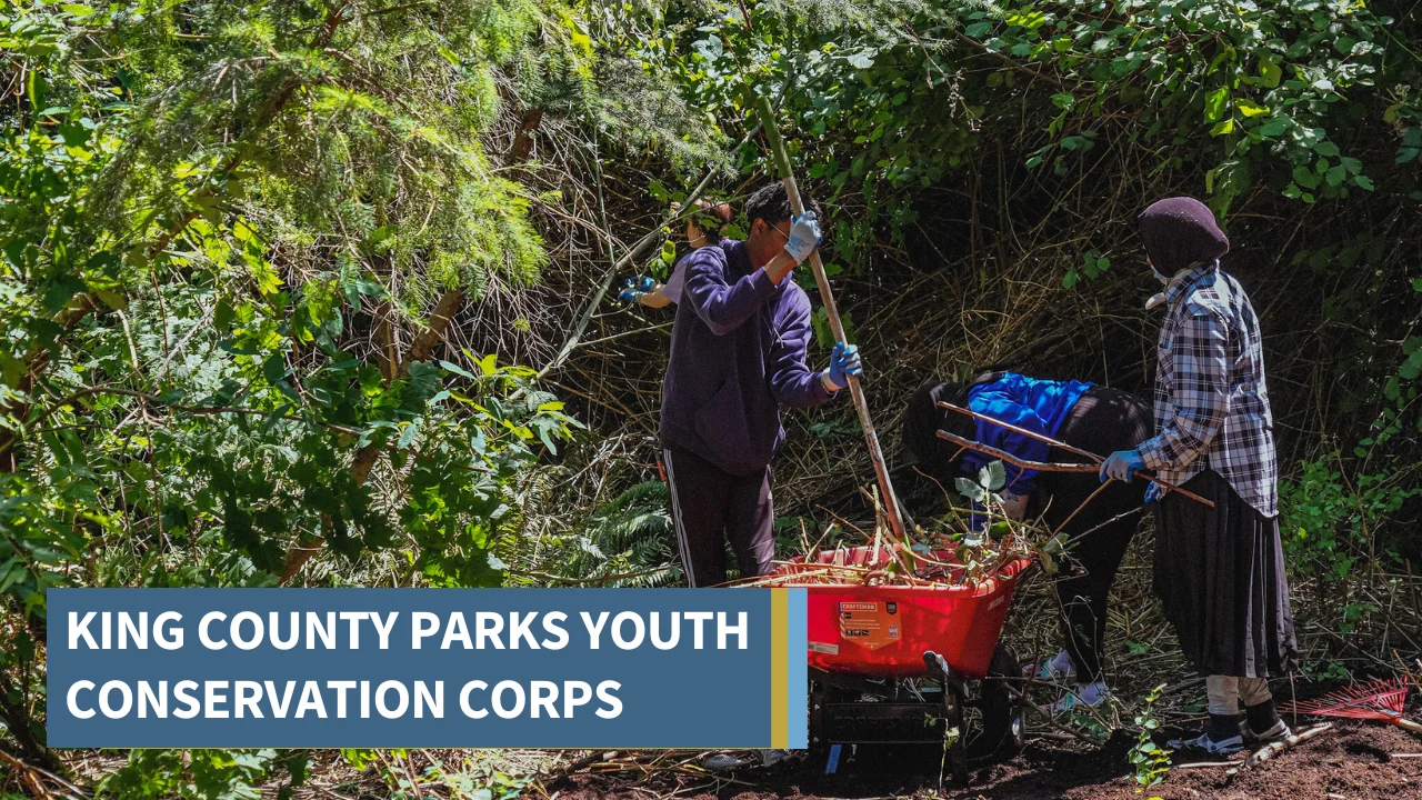 King County Parks Youth Conservation Corps, image size:1280x720