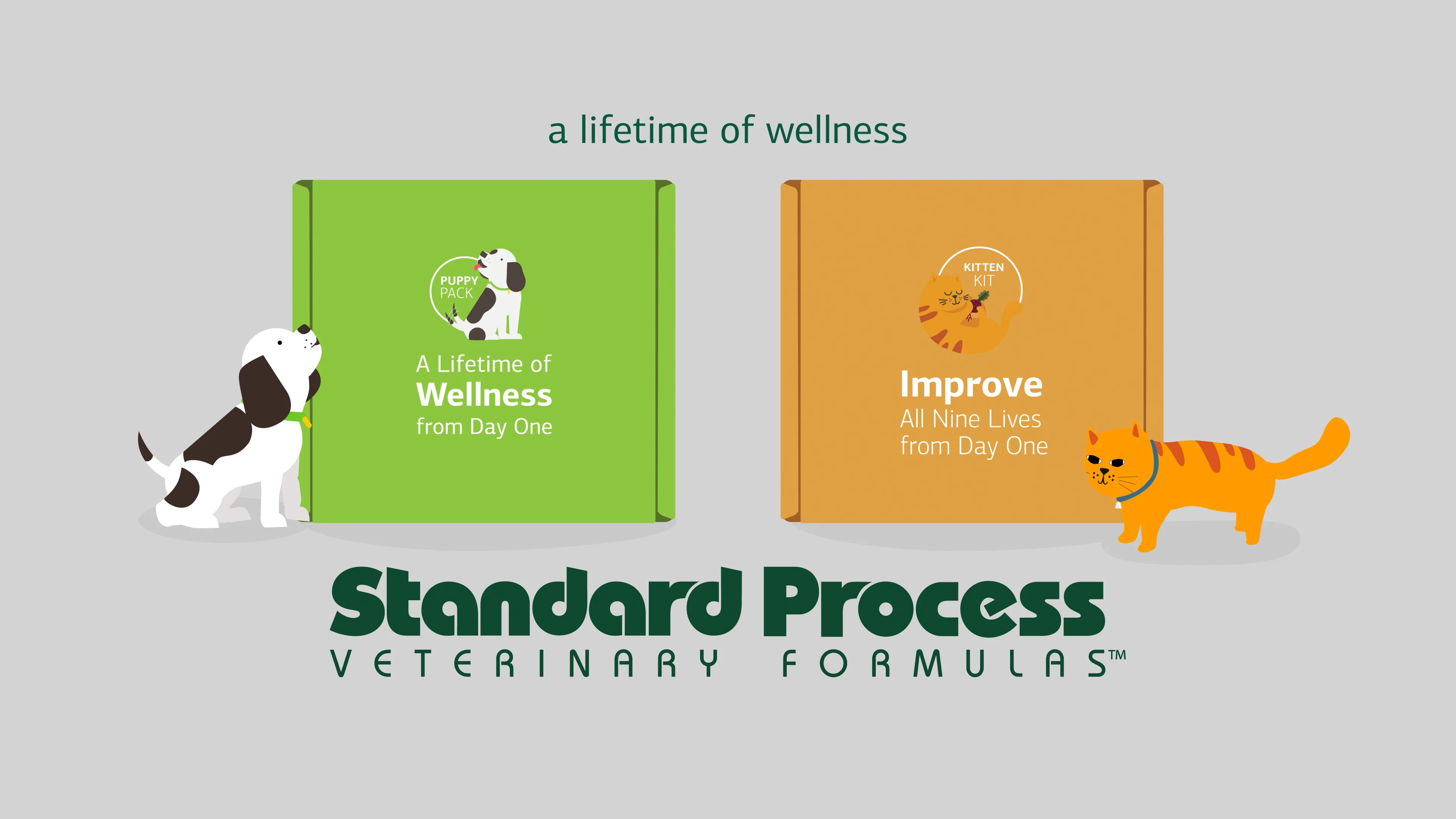 Standard shop process veterinary