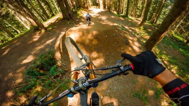 Bobsled mountain bike trail clearance