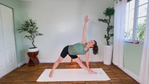 Related Embedded Video Item Thumbnail