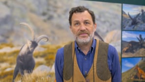 Javier Pereda 