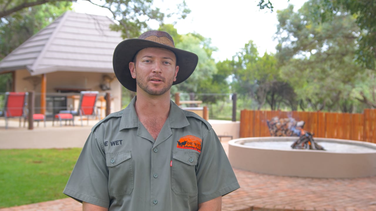 About De Wet African Safaris