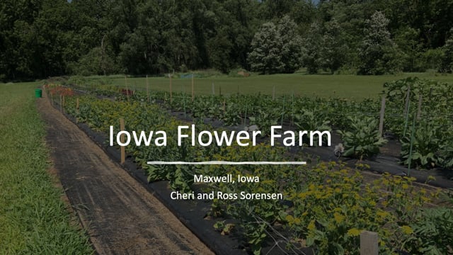 Namens Bukken Dronken worden Iowa Flower Farm promo on Vimeo