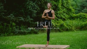 The Fundeamentals | Tree