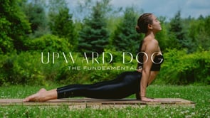 The Fundeamentals | Upward Dog