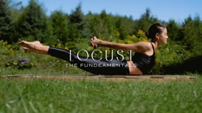 The Fundeamentals | Locust