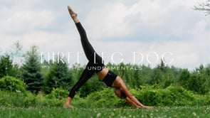 The Fundeamentals | 3 Leg Dog