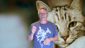 What is this Cat's Problem?