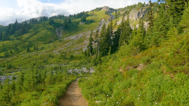 Reflection Lake Trail, Mount Rainier National Park- Walking Tour