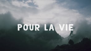 Focus zapatiste : expo et ciné