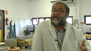 Ha mort Francesc Moner 'Xillu', referent al sector anxover 
