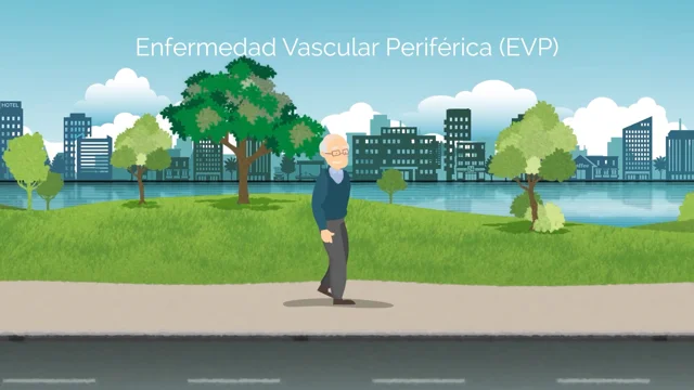 Enfermedad vascular periférica: ¿Qué es?