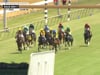 Colonial Downs - Race 2 - August 1
