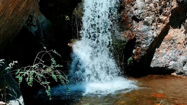 Waterfall Mountains Forest - Free video on Pixabay