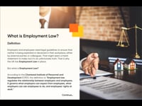 Basics of Employment Law Chapter
