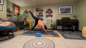 The 3-Legged Downward Dog