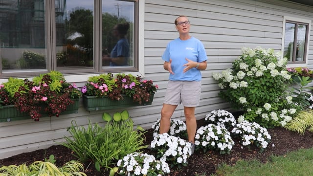 Tips on Watering Your Landscape in a Dry Summer Season.MP4