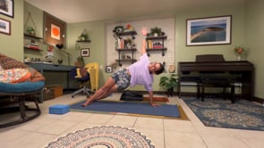 Trunk & Plank Power
