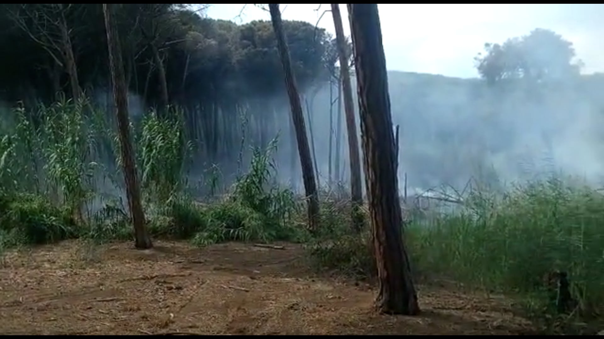 Die Simeto-Oase in Flammen