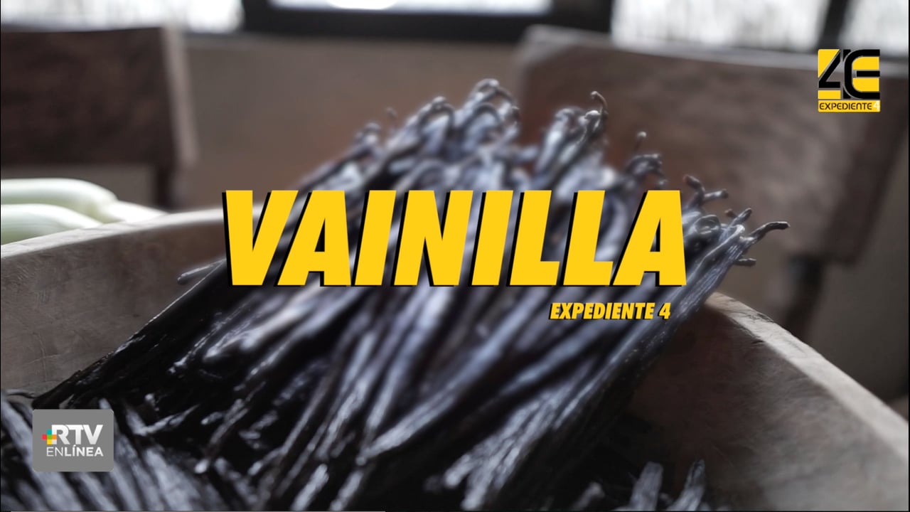 Reportaje "Vainilla"