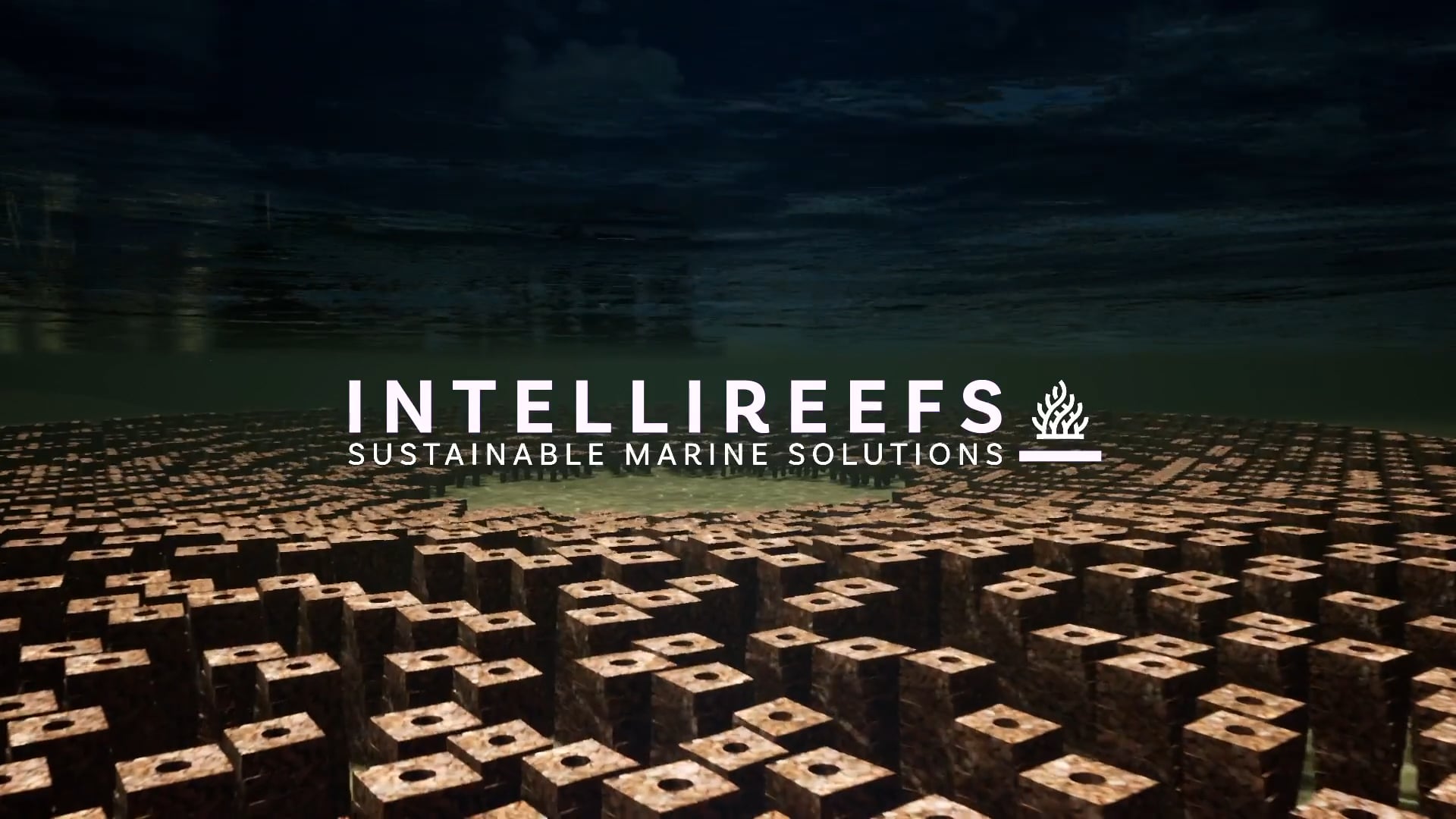 IntelliReefs- Architecture for Aquaculture