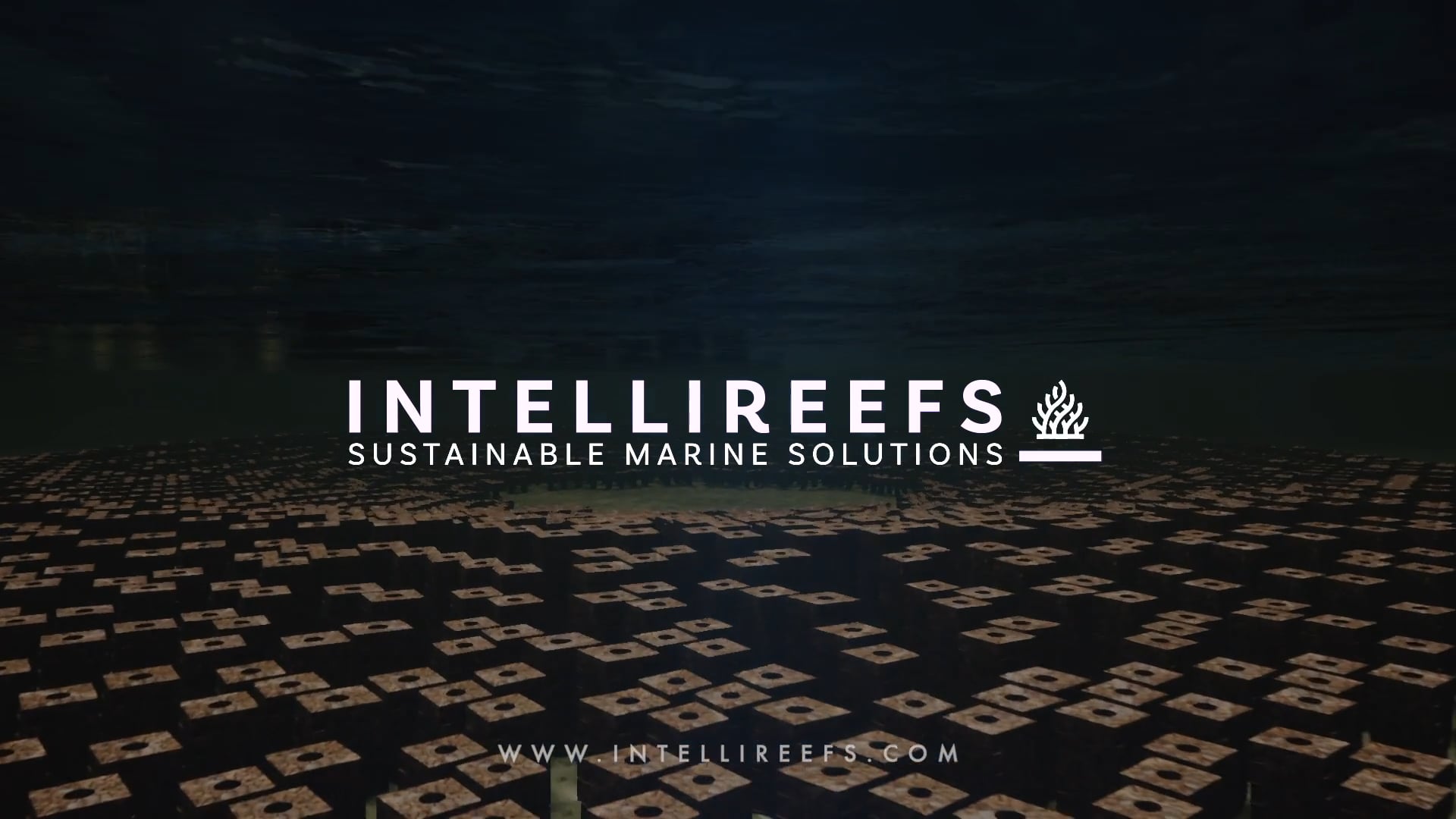 IntelliReefs - Ocean Architecture Introduction