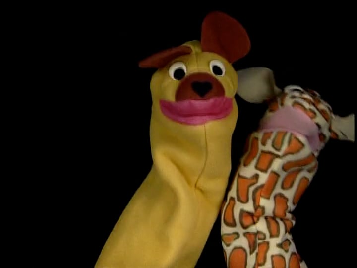World Animals Puppet Shows on Vimeo