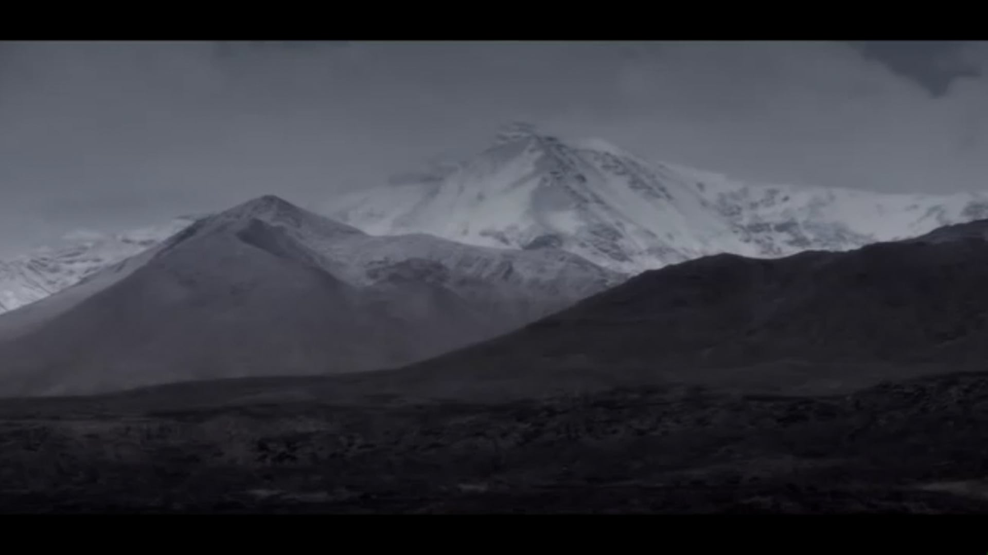 2010 Viver para contar