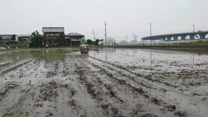 田植え動画