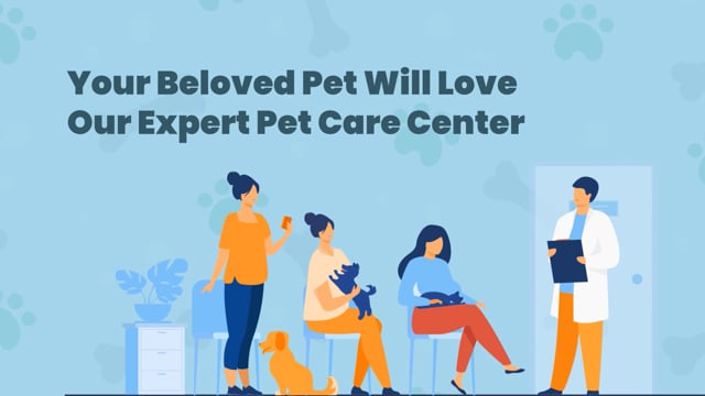 Pet Care Explainer Video