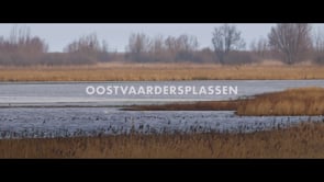 Nederland, waterland, vogelland