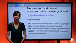 video : exercice-la-synthese-dune-proteine-3723