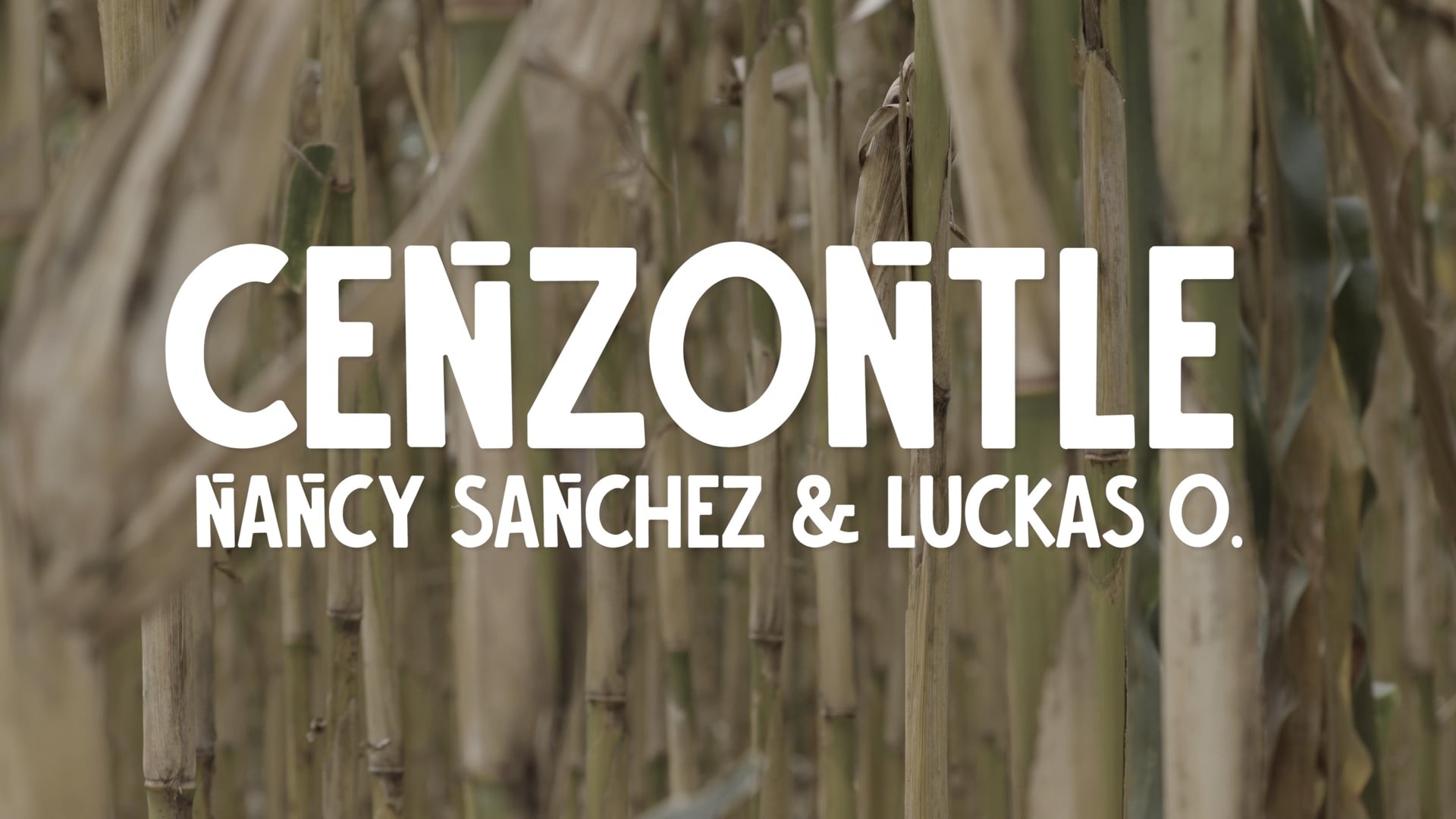 Cenzontle - Nancy Sanchez Ft Luckas O.