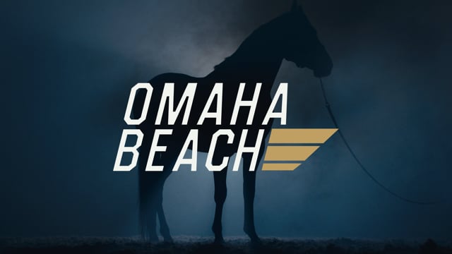 Omaha Beach | The War Front we will all remember