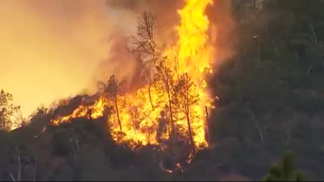 L'Oak Fire esplode in dimensioni vicino allo Yosemite National Park