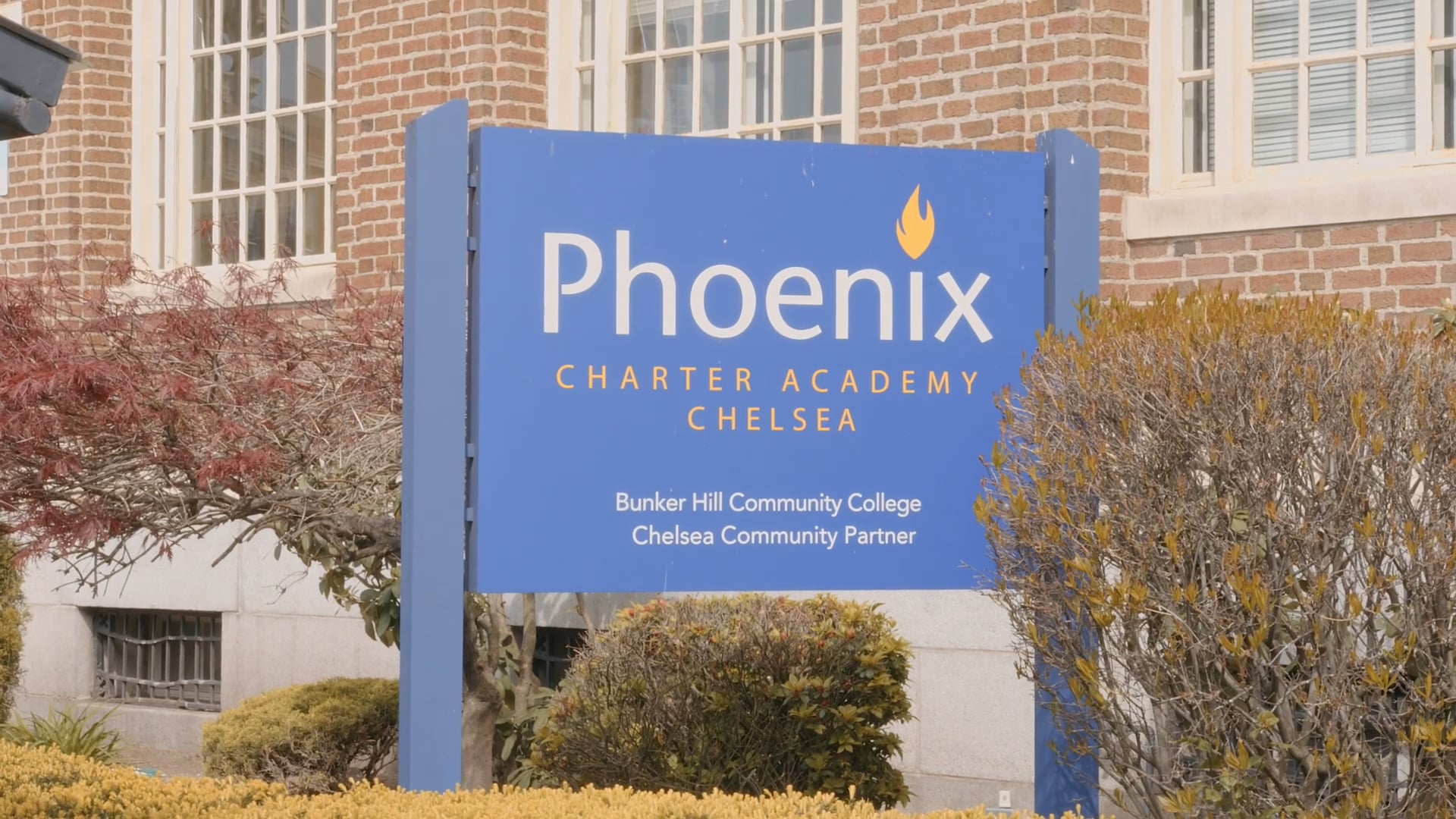 Phoenix Chelsea