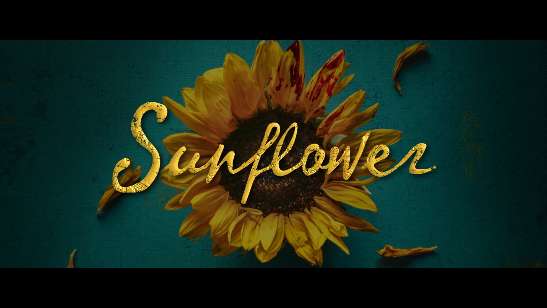Sunflower (2022) - Teaser