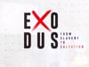 Exodus 1 | When luxury turns to slavery | Troy Nicholson | 8.7.22