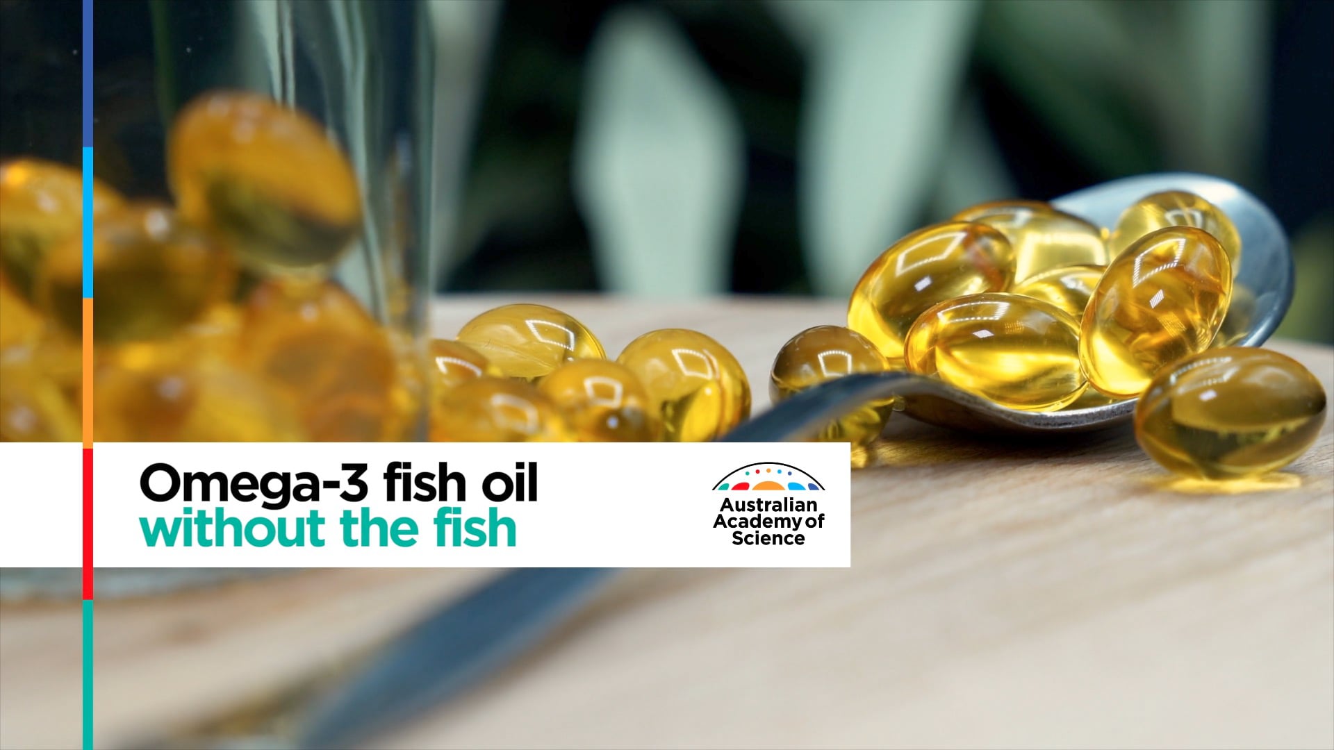 Omega3 fish oil without the fish on Vimeo