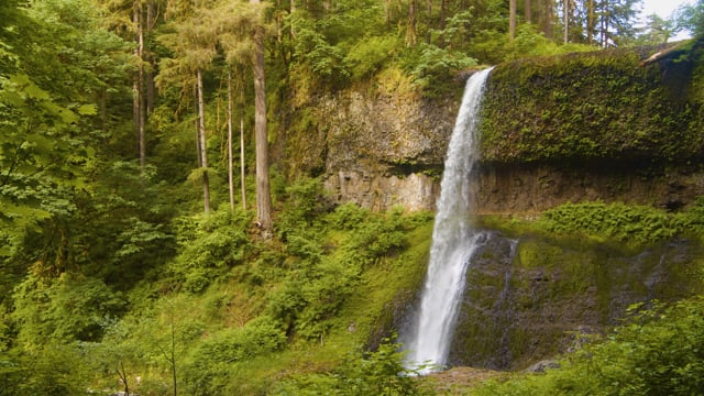 Exploring Incredible Beauty of Silver Falls State Park