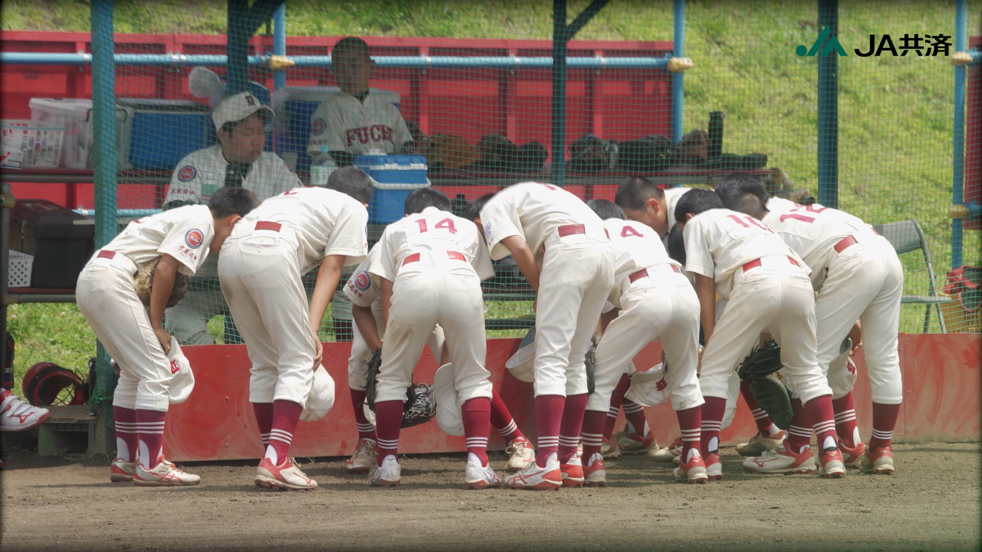 National Mutual Insurance Federation of Agricultural Cooperatives『Little League BaseBall Web Movie(2022)』