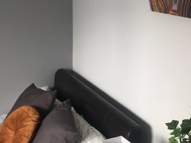 Double Room in Modern, Friendly House Share Main Photo