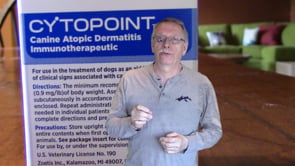 How to Give a Cytopoint Injection