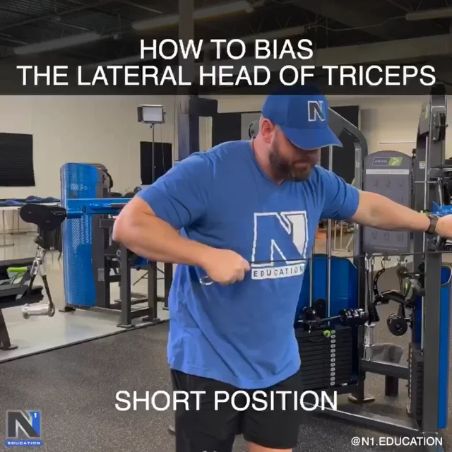 Short head tricep online exercises