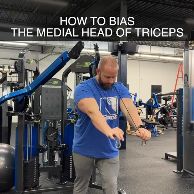 Medial head tricep discount workout