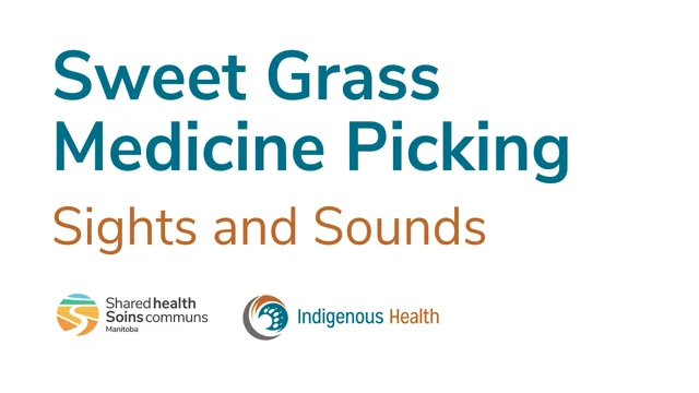 The Many Uses of Sweetgrass • Insteading