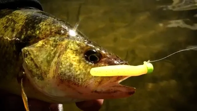Z-Man Micro Shad Headz Finesse Jigheads - 4 Pack — Discount Z-Man Micro Shad Headz Finesse Jigheads - 4 Pack — Discount